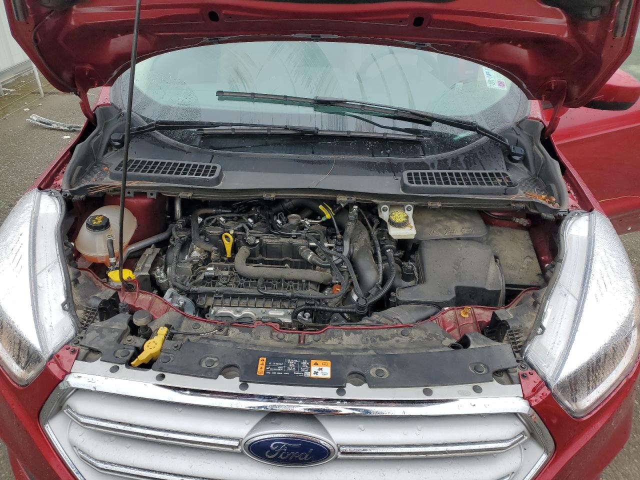 2019 Ford Escape VIN 1FMCU0GD2KUB94600 Copart auction photo, side / minor dent/scratches damage thumbnail 12
