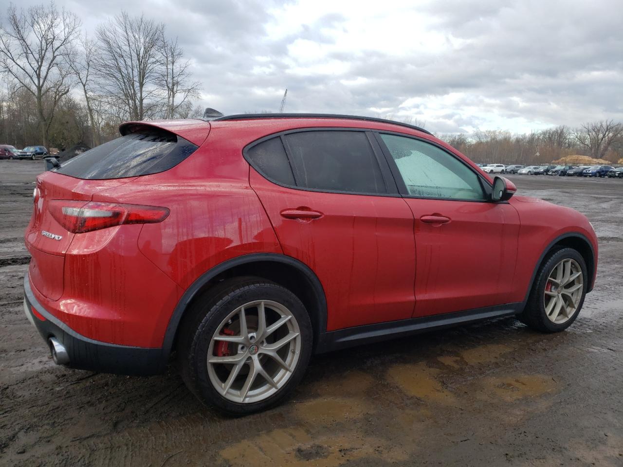 2018 Alfa Romeo Stelvio VIN ZASFAKNN6J7B88918 Copart auction photo, mechanical / minor dent/scratches damage thumbnail 3