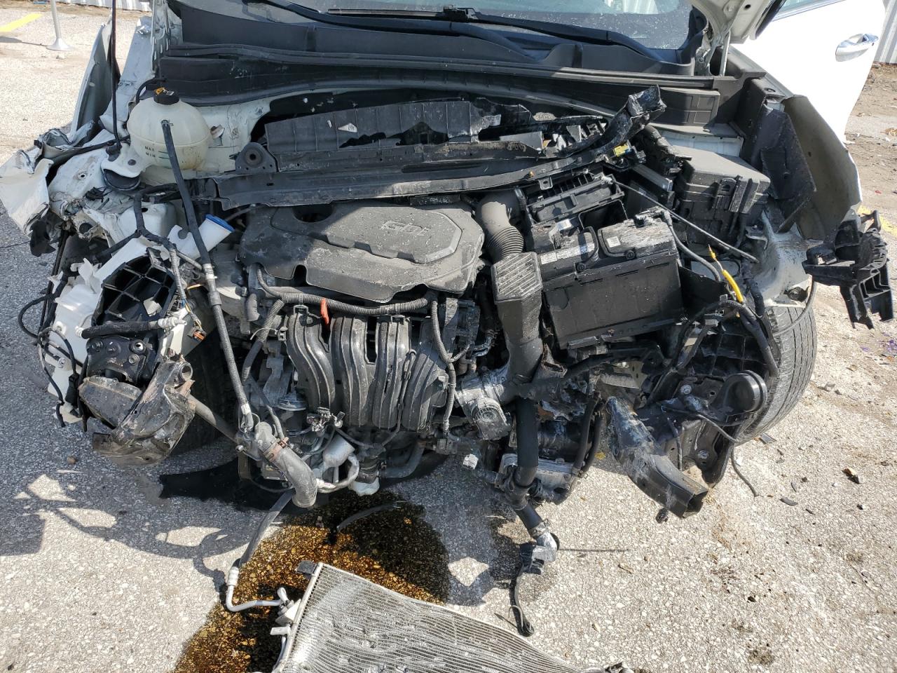 2019 KIA Sportage VIN KNDPNCAC7K7492644 Copart auction photo, front end damage thumbnail 13