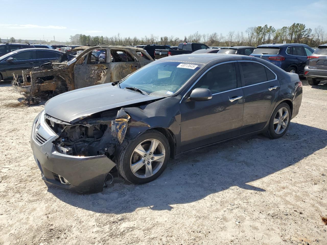 2012 Acura TSX VIN JH4CU2F40CC007989 - Copart auction photo