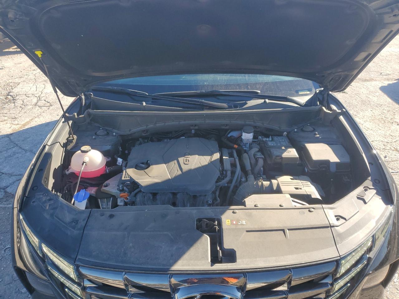 2023 Hyundai Tucson VIN 5NMJECAEXPH248753 Copart auction photo, rear end / minor dent/scratches damage thumbnail 13