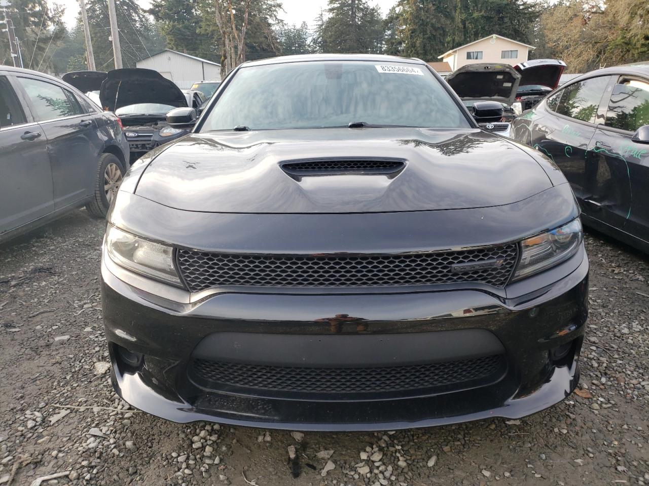 2021 Dodge Charger VIN 2C3CDXHG8MH501901 Copart auction photo, side / rear end damage thumbnail 5