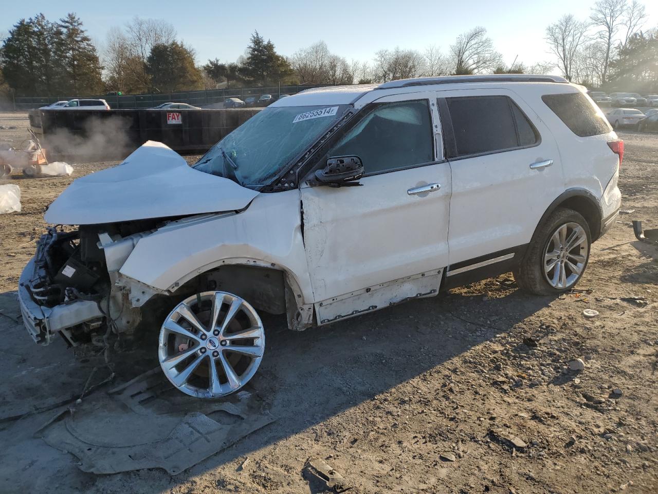 2019 Ford Explorer VIN 1FM5K7F86KGB51520