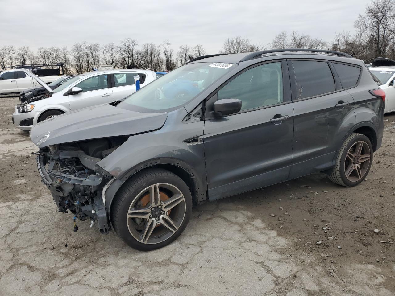 2019 Ford Escape VIN 1FMCU9HD0KUA30491