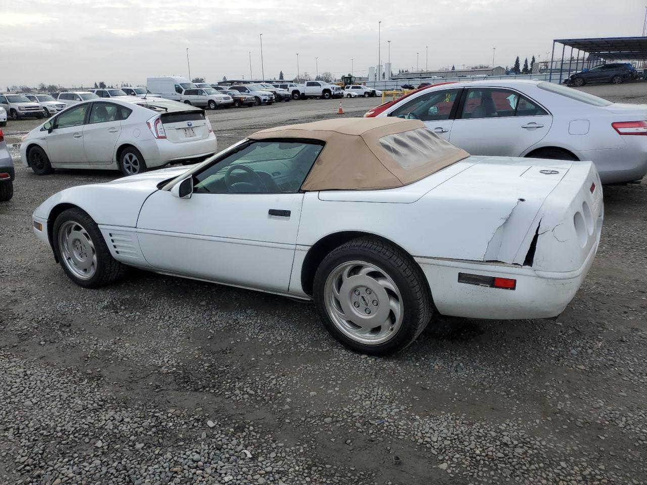 1991 Chevrolet Corvette VIN 1G1YY3382M5113089 Copart auction photo, rear end damage thumbnail 2