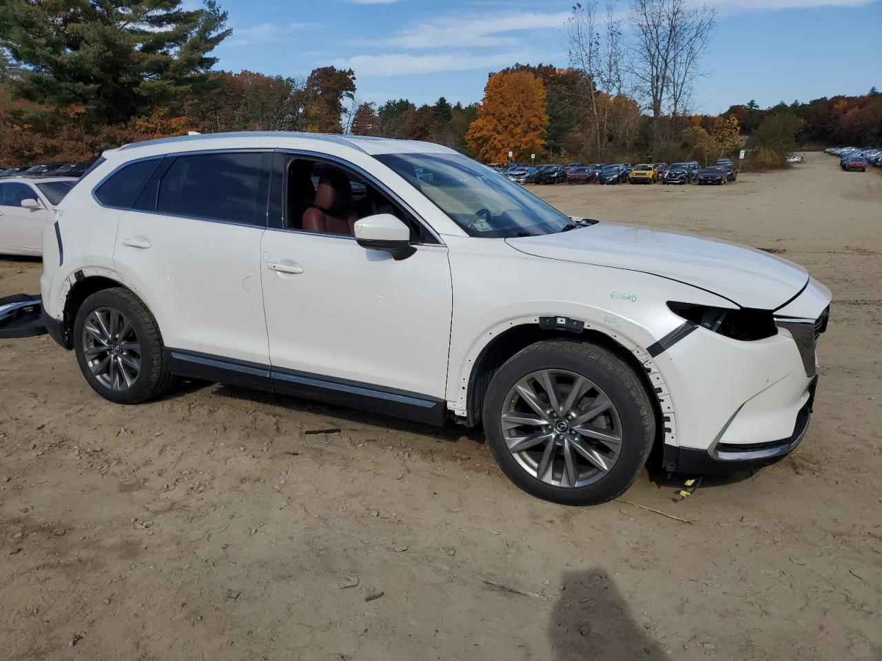 2019 Mazda CX-9 VIN JM3TCBEY7K0319758 Copart auction photo, side / rear end damage thumbnail 4