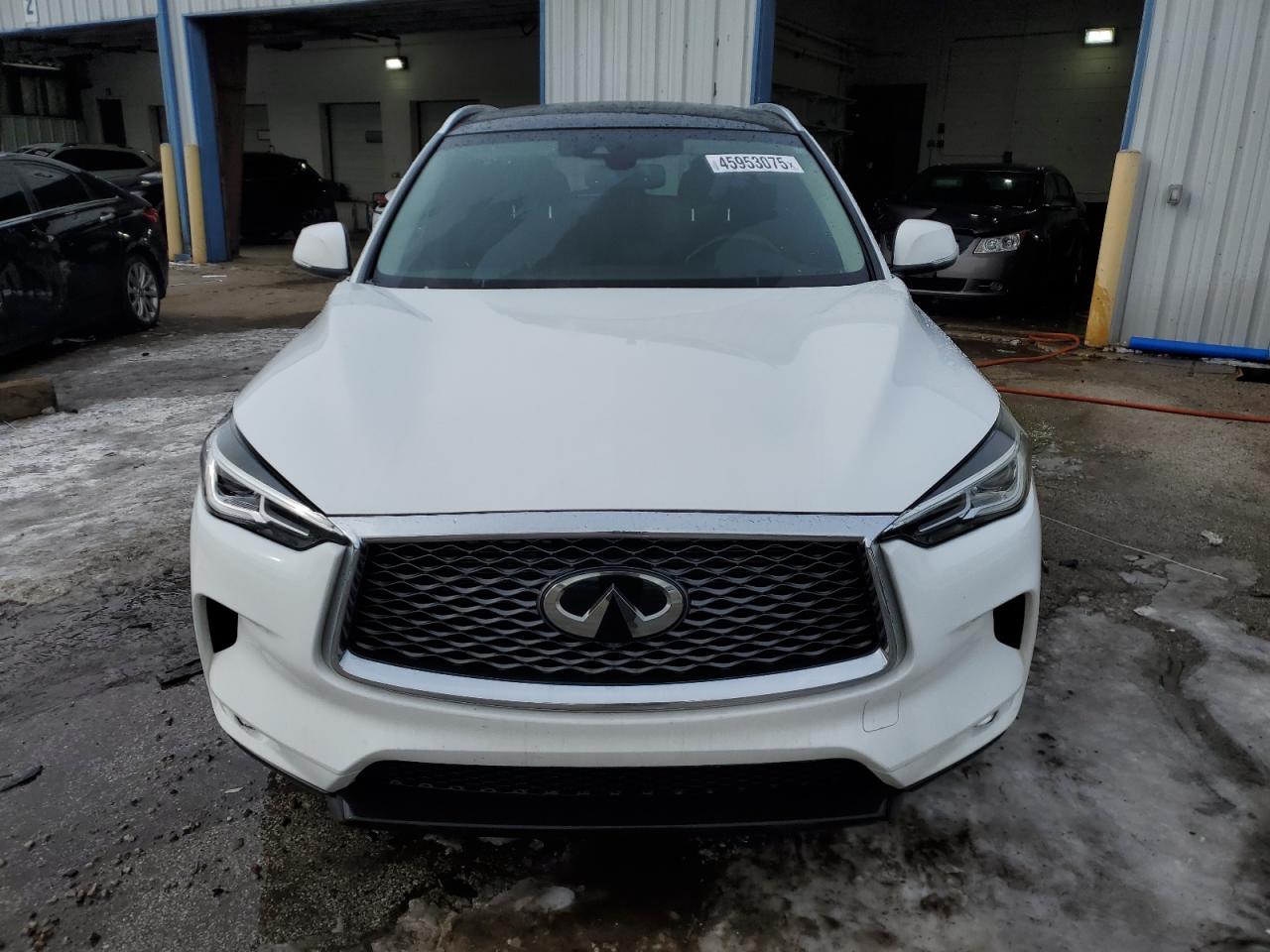 2019 Infiniti QX50 VIN 3PCAJ5M35KF119542 Copart auction photo, side damage thumbnail 5
