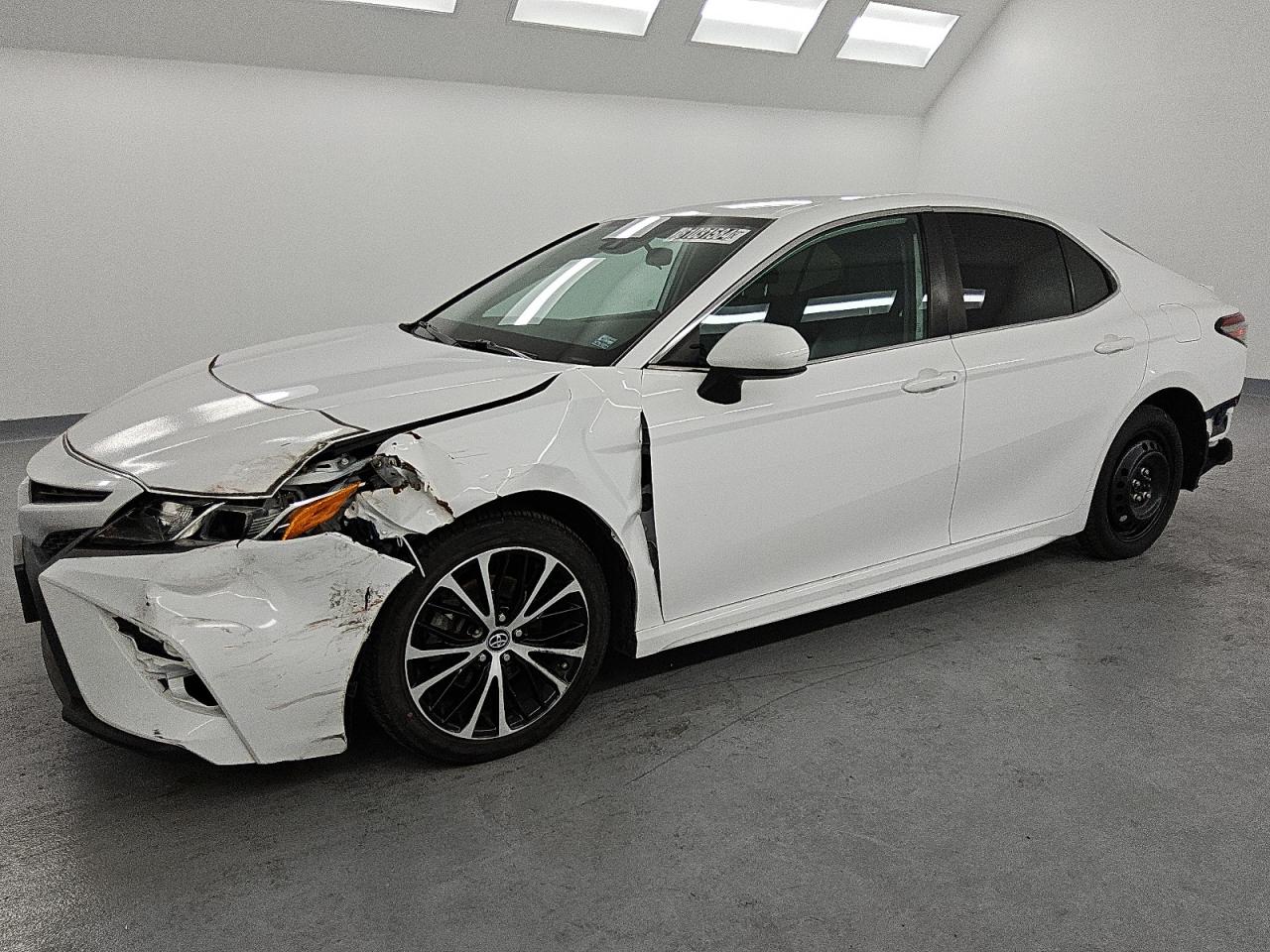 2019 Toyota Camry VIN 4T1B11HKXKU710242