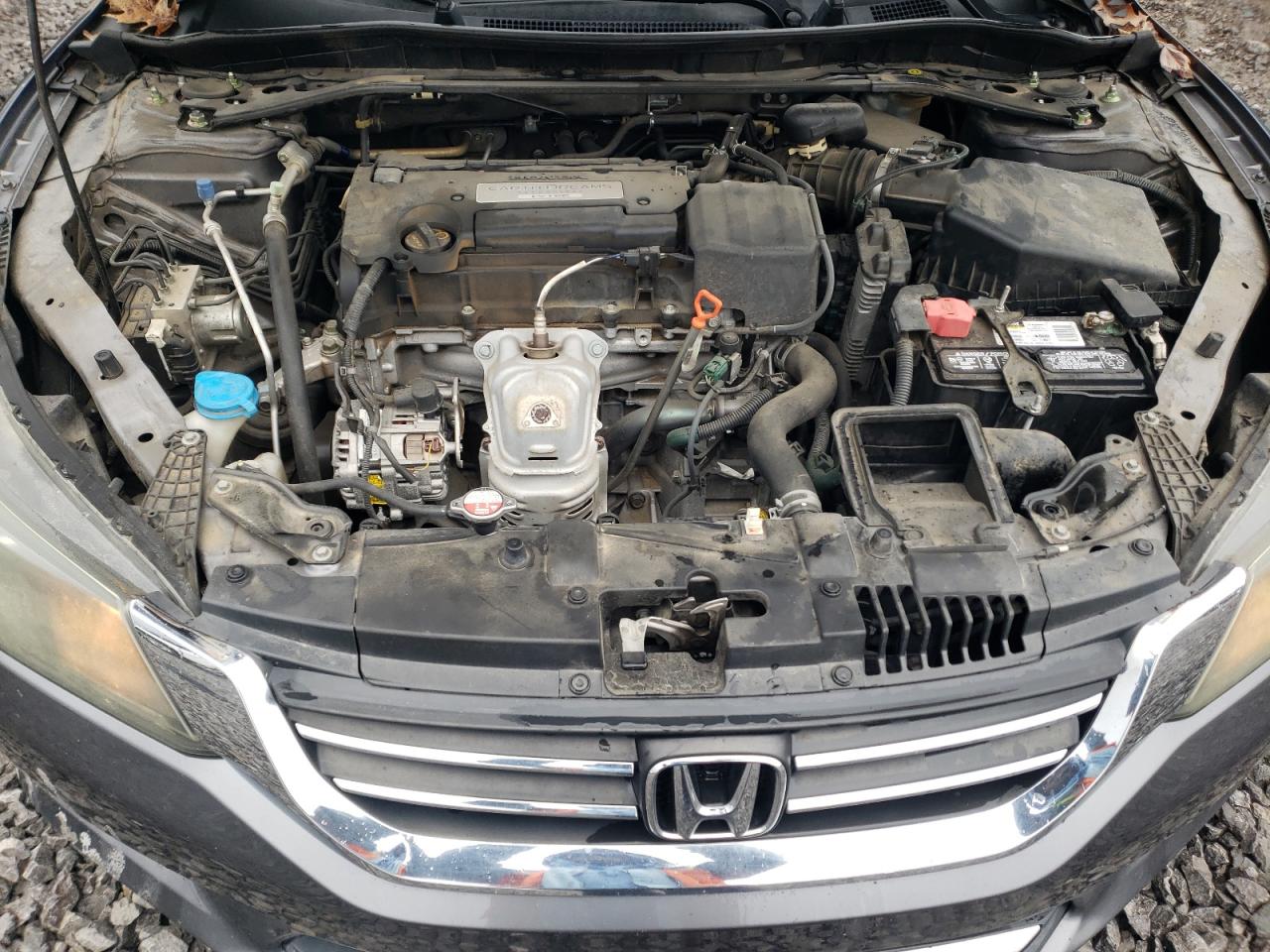 2014 Honda Accord VIN 1HGCR2F52EA240428 Copart auction photo, minor dent/scratches / rear end damage thumbnail 11