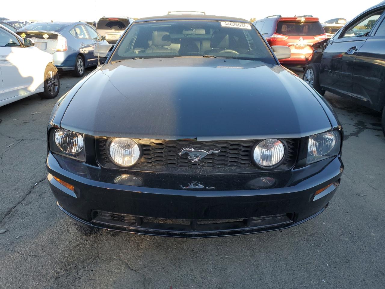 2005 Ford Mustang VIN 1ZVFT85H255174223 Copart auction photo, undercarriage damage thumbnail 5