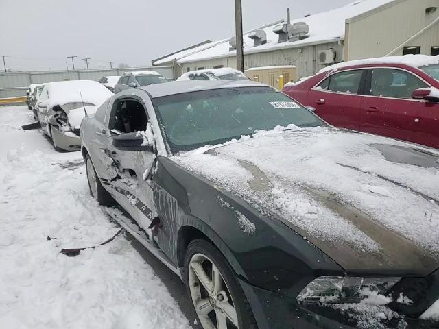 2013 Ford Mustang VIN 1ZVBP8AM5D5203217 Copart auction photo, side damage thumbnail 11