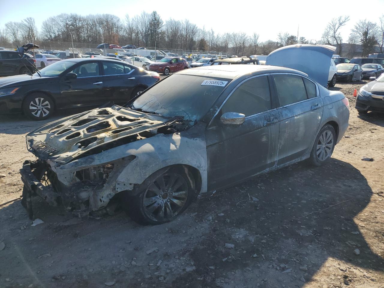 2011 Honda Accord VIN 1HGCP2F80BA078777