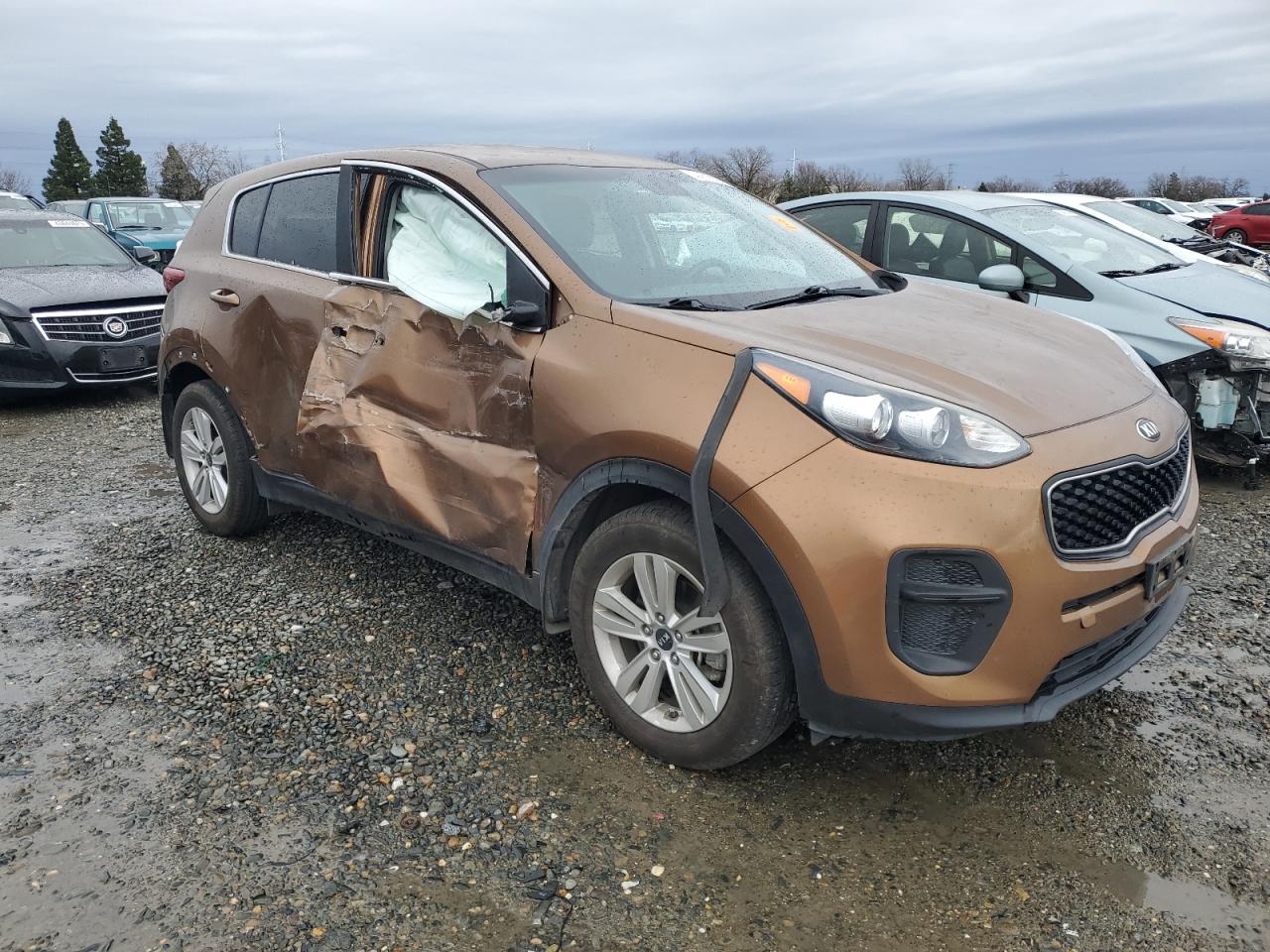 2019 KIA Sportage VIN KNDPM3AC8K7624121 Copart auction photo, side damage thumbnail 4