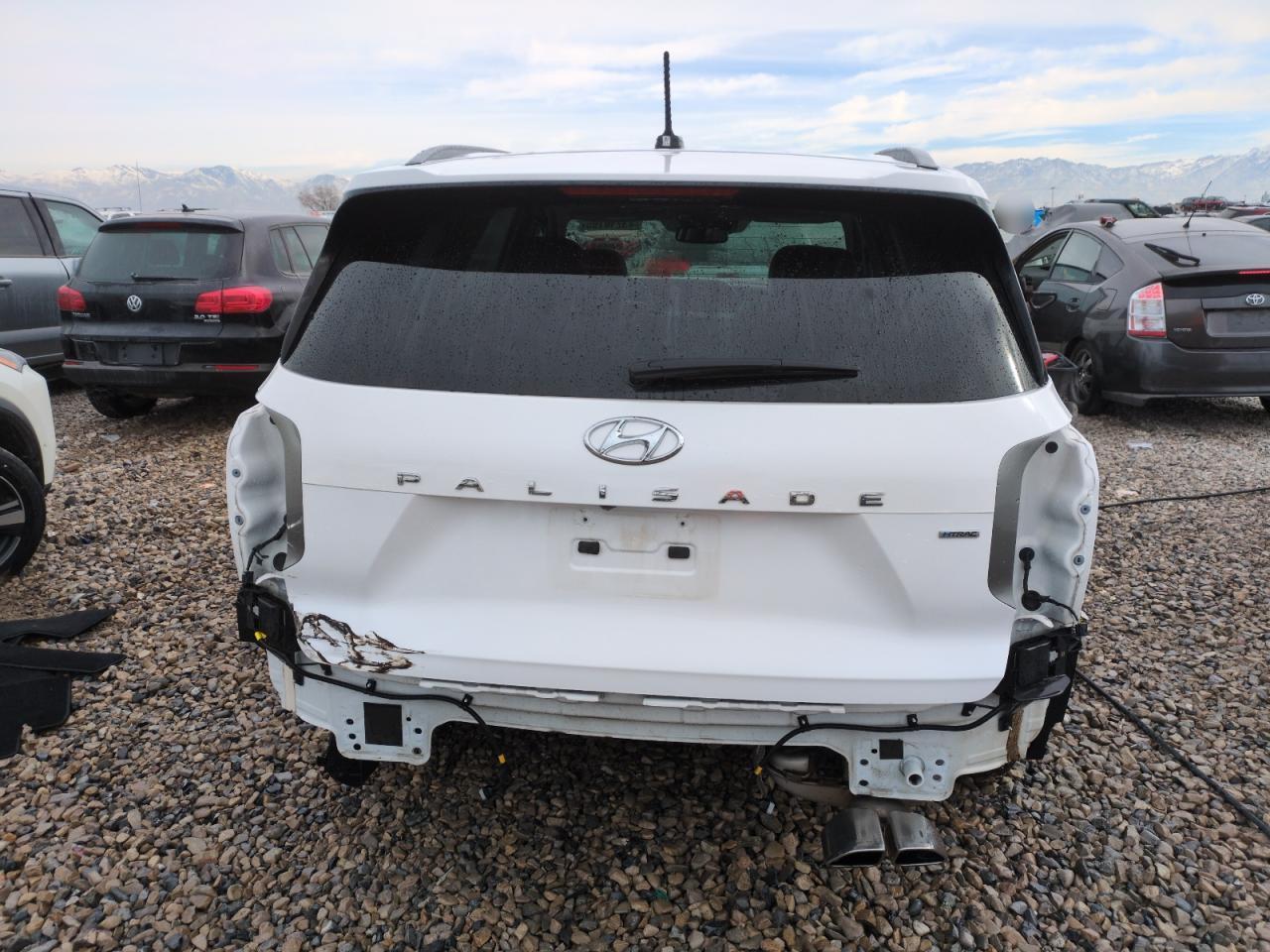 2020 Hyundai Palisade VIN KM8R2DHE9LU055774 Copart auction photo, side / rear end damage thumbnail 6