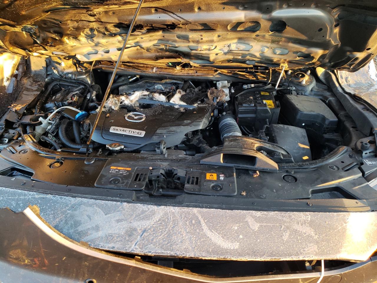 2020 Mazda CX-9 VIN JM3TCACY8L0414621 Copart auction photo, rollover damage thumbnail 12
