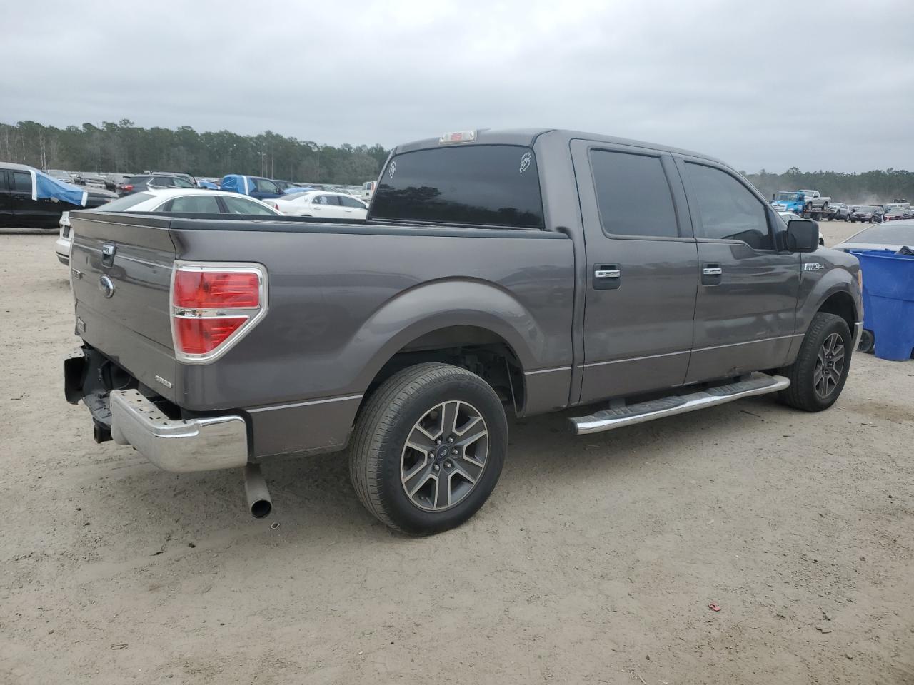 2013 Ford F-150 VIN 1FTEW1CM8DKE33245 Copart auction photo, side damage thumbnail 3