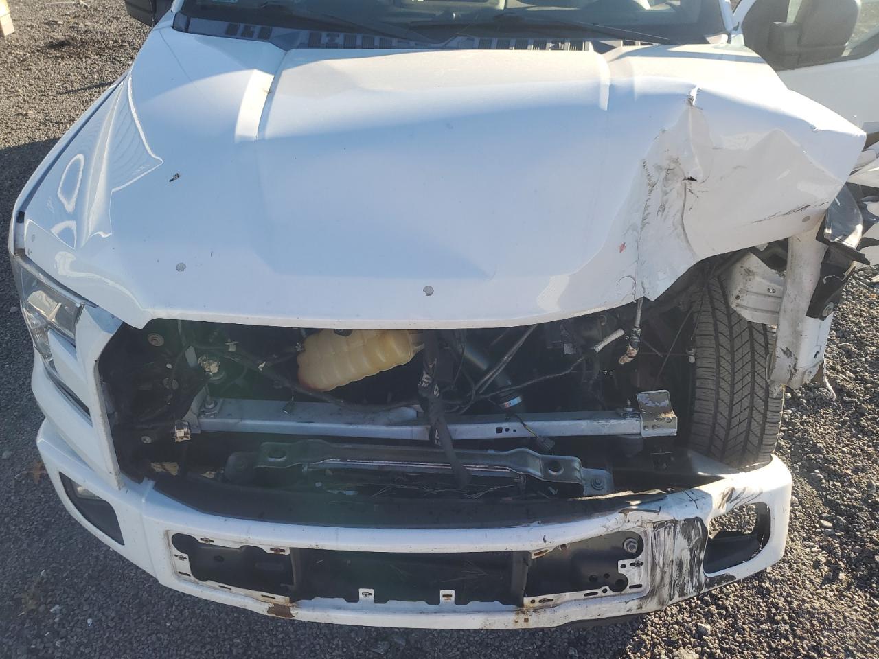 2017 Ford F-150 VIN 1FTEW1CP6HFB62548 Copart auction photo, front end / minor dent/scratches damage thumbnail 11