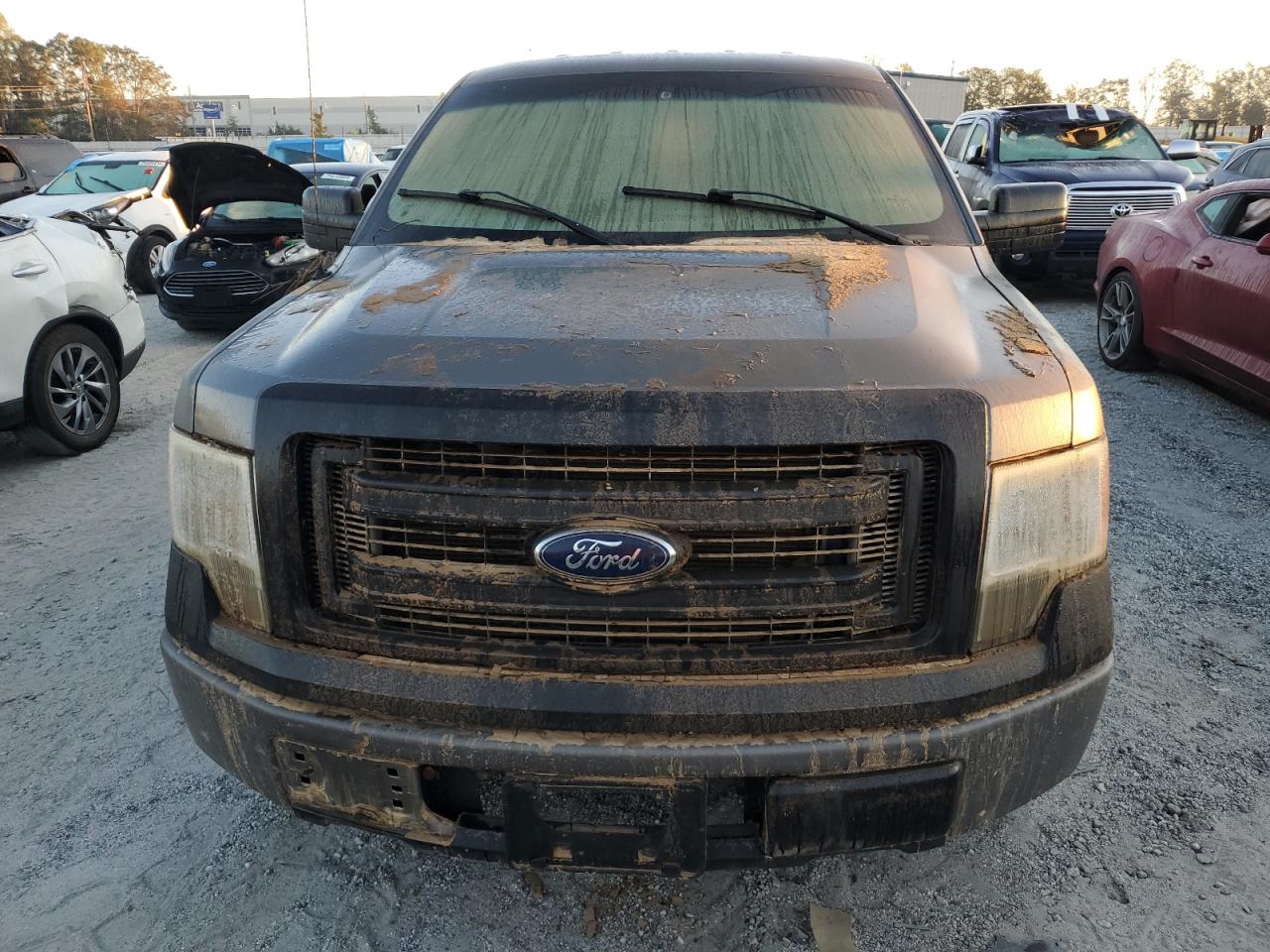 2013 Ford F-150 VIN 1FTMF1EM7DKD31587 Copart auction photo, water/flood damage thumbnail 5