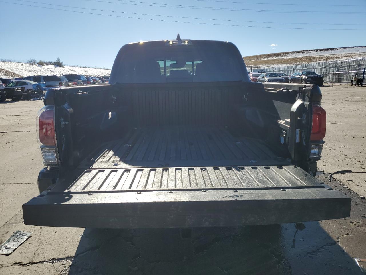 2020 Toyota Tacoma VIN 5TFCZ5AN4LX239556 Copart auction photo, front end / hail damage thumbnail 6