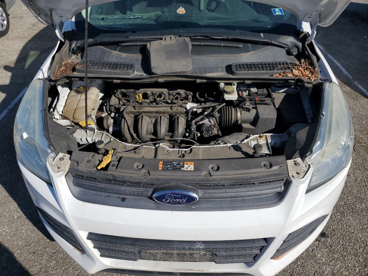 2014 Ford Escape VIN 1FMCU0F74EUE00810 Copart auction photo, minor dent/scratches damage thumbnail 11