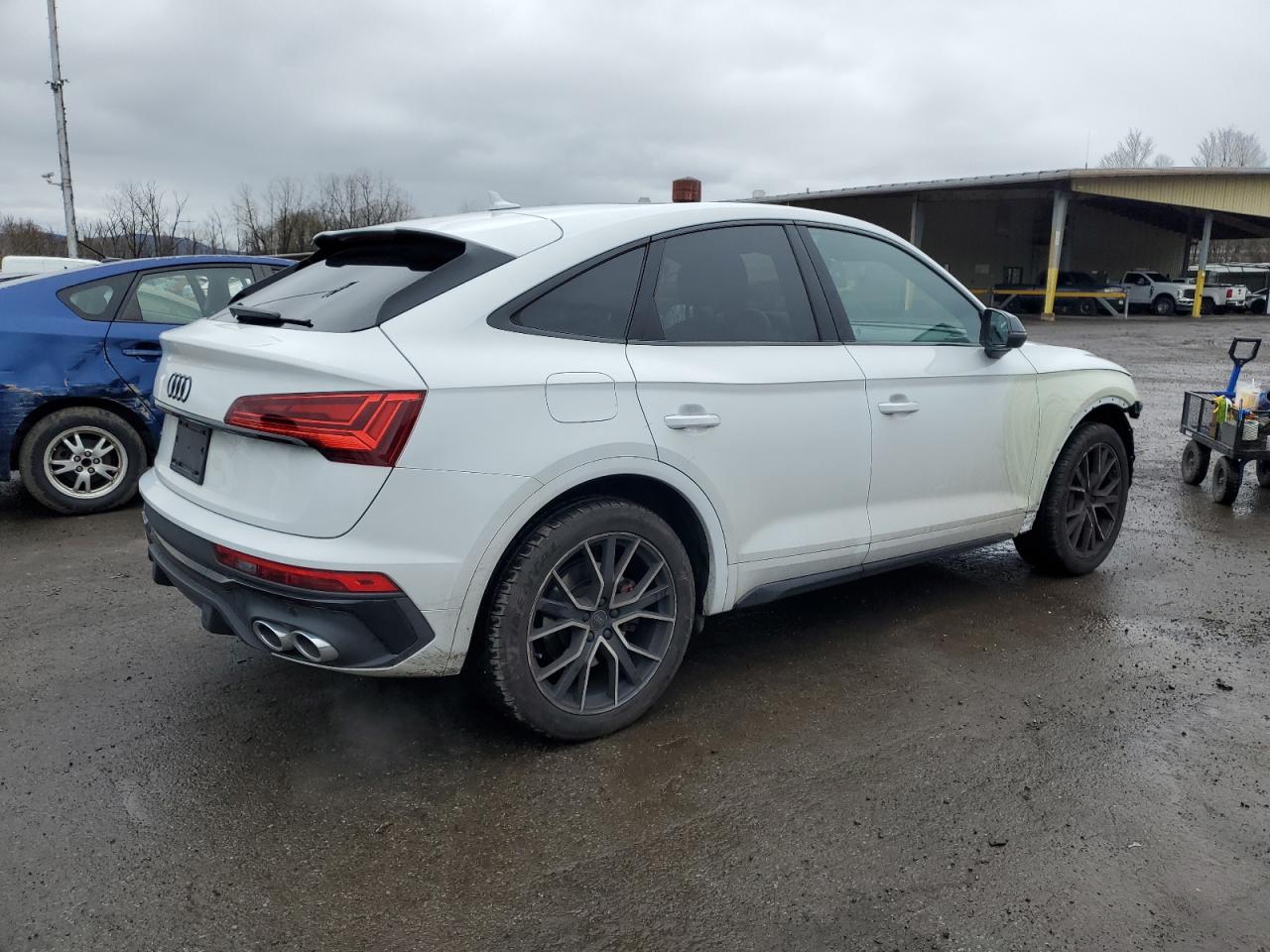 2024 Audi SQ5 Sportback VIN WA124AFY1R2012511 Copart auction photo, front end / minor dent/scratches damage thumbnail 3