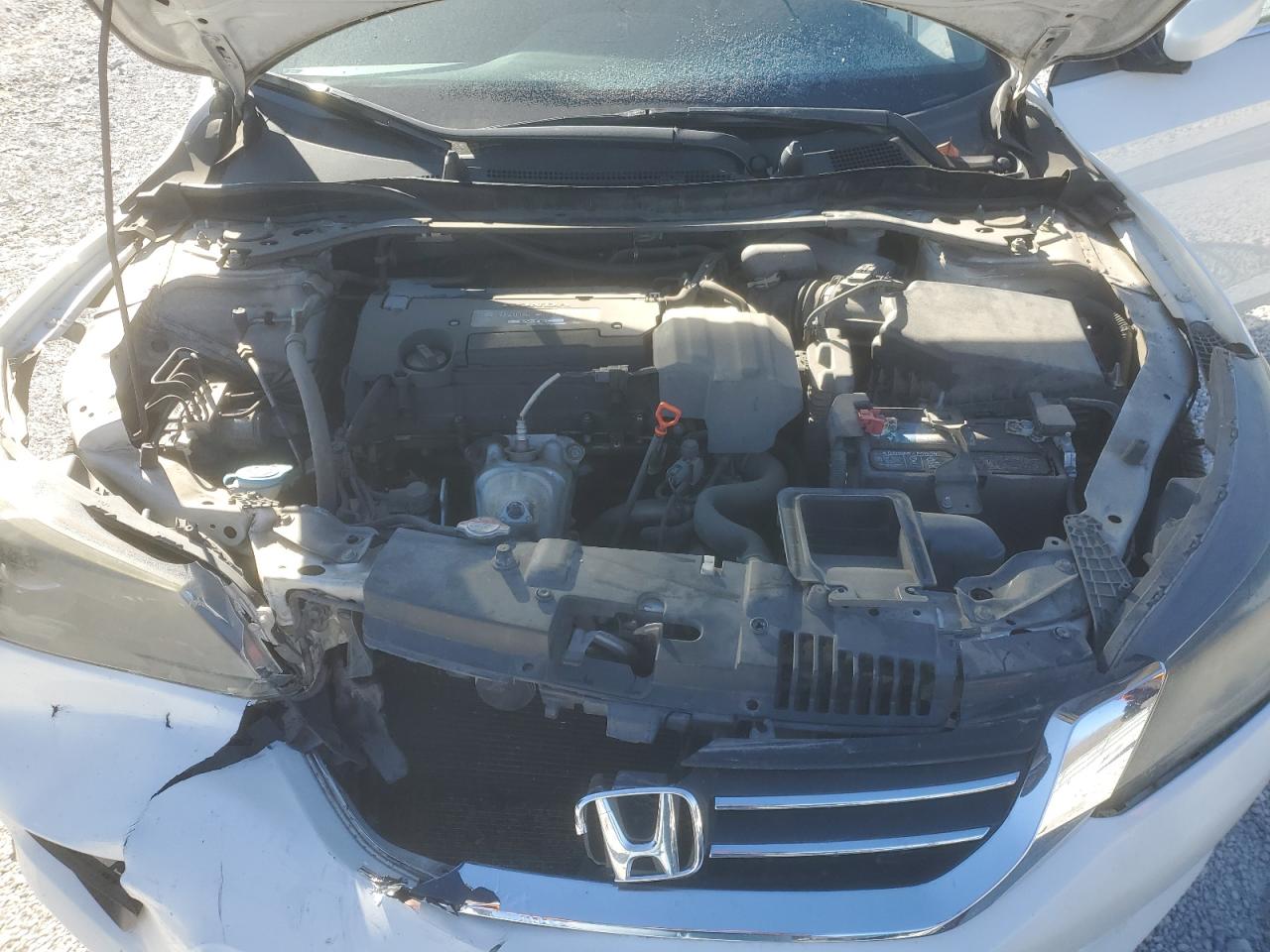 2013 Honda Accord VIN 1HGCR2F51DA229547 Copart auction photo, front end damage thumbnail 11