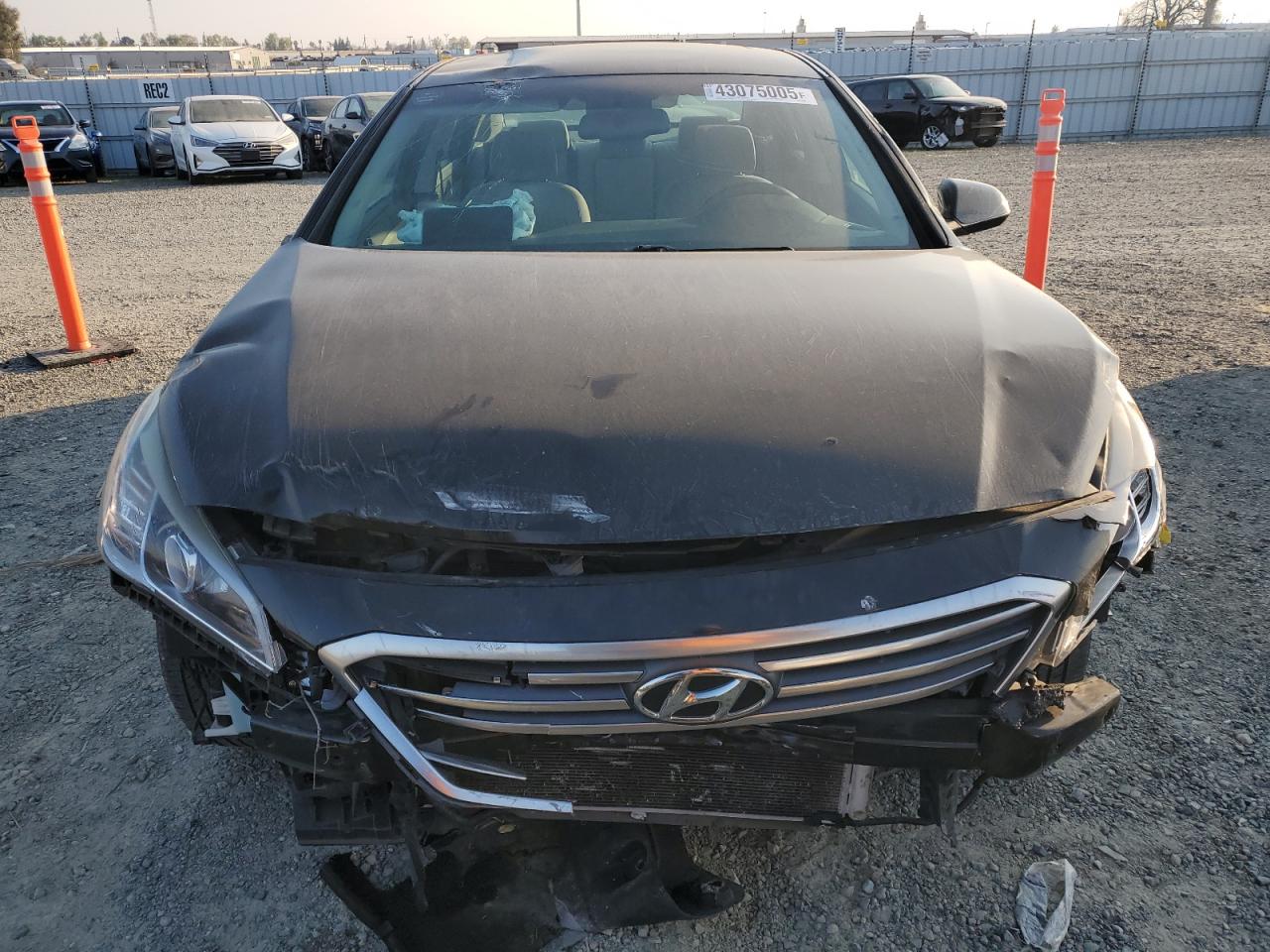 2016 Hyundai Sonata VIN 5NPE24AF1GH280468 Copart auction photo, front end / side damage thumbnail 5