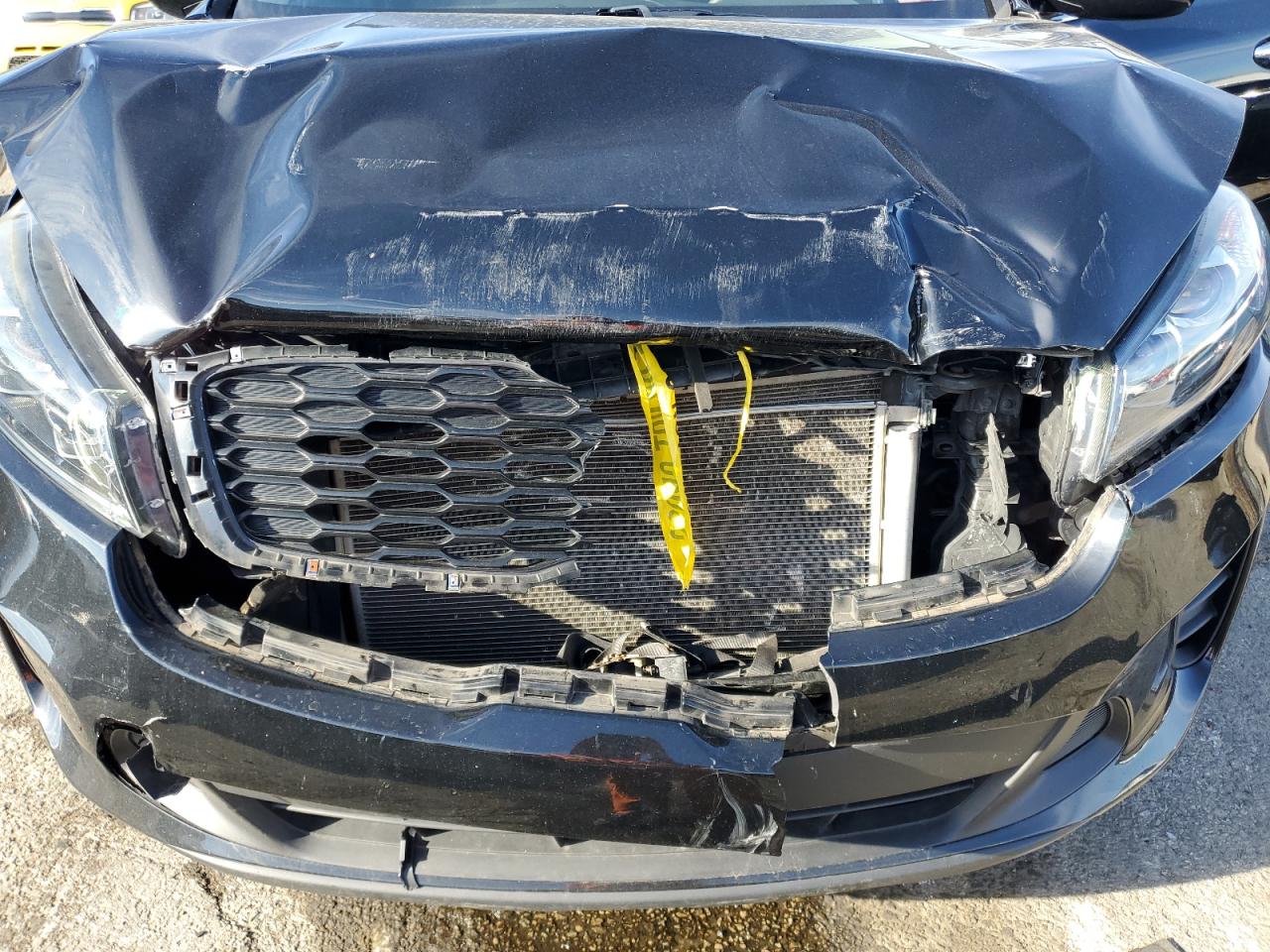 2019 KIA Sorento VIN 5XYPG4A32KG586448 Copart auction photo, front end damage thumbnail 12