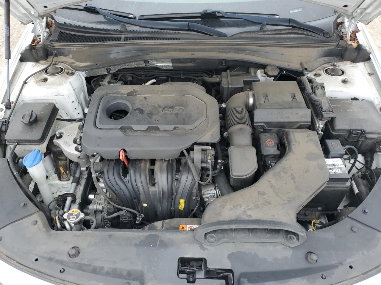 2019 KIA Optima VIN 5XXGT4L35KG361728 Copart auction photo, side damage thumbnail 12