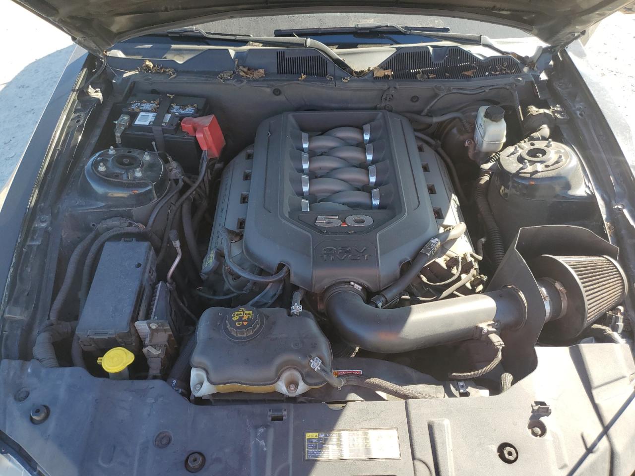 2014 Ford Mustang VIN 1ZVBP8CF3E5303963 Copart auction photo, front end / side damage thumbnail 11