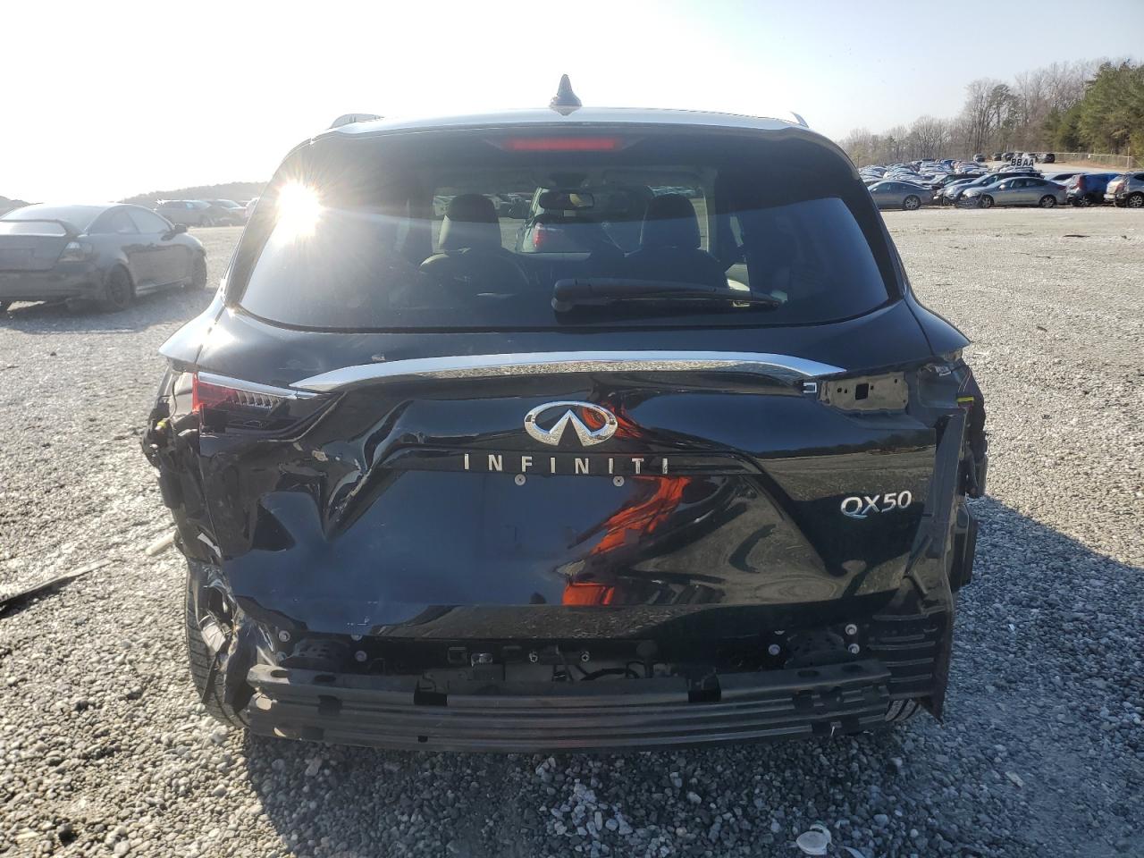 2020 Infiniti QX50 VIN 3PCAJ5M17LF117064 Copart auction photo, rear end damage thumbnail 6