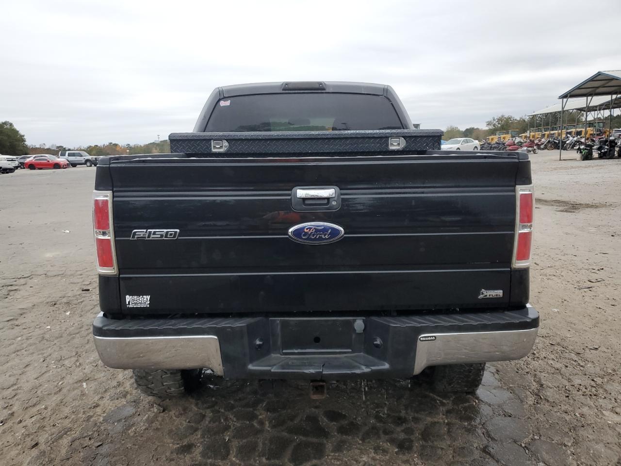 2010 Ford F-150 VIN 1FTFW1EV1AFA25832 Copart auction photo, side damage thumbnail 6