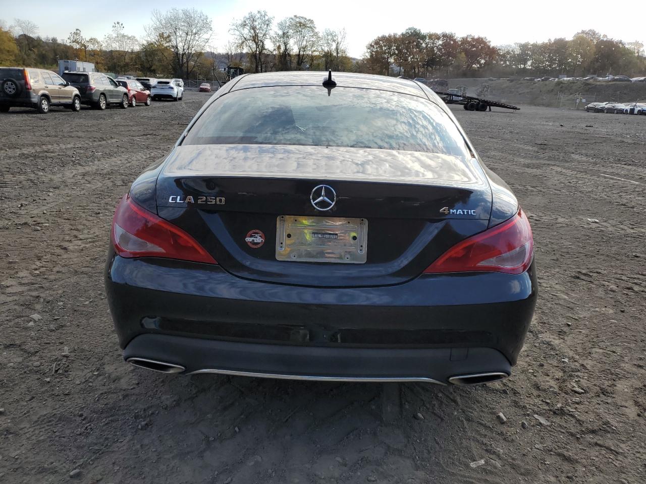 2019 Mercedes-Benz CLA-klasse VIN WDDSJ4GB8KN766137 Copart auction photo, side / minor dent/scratches damage thumbnail 6