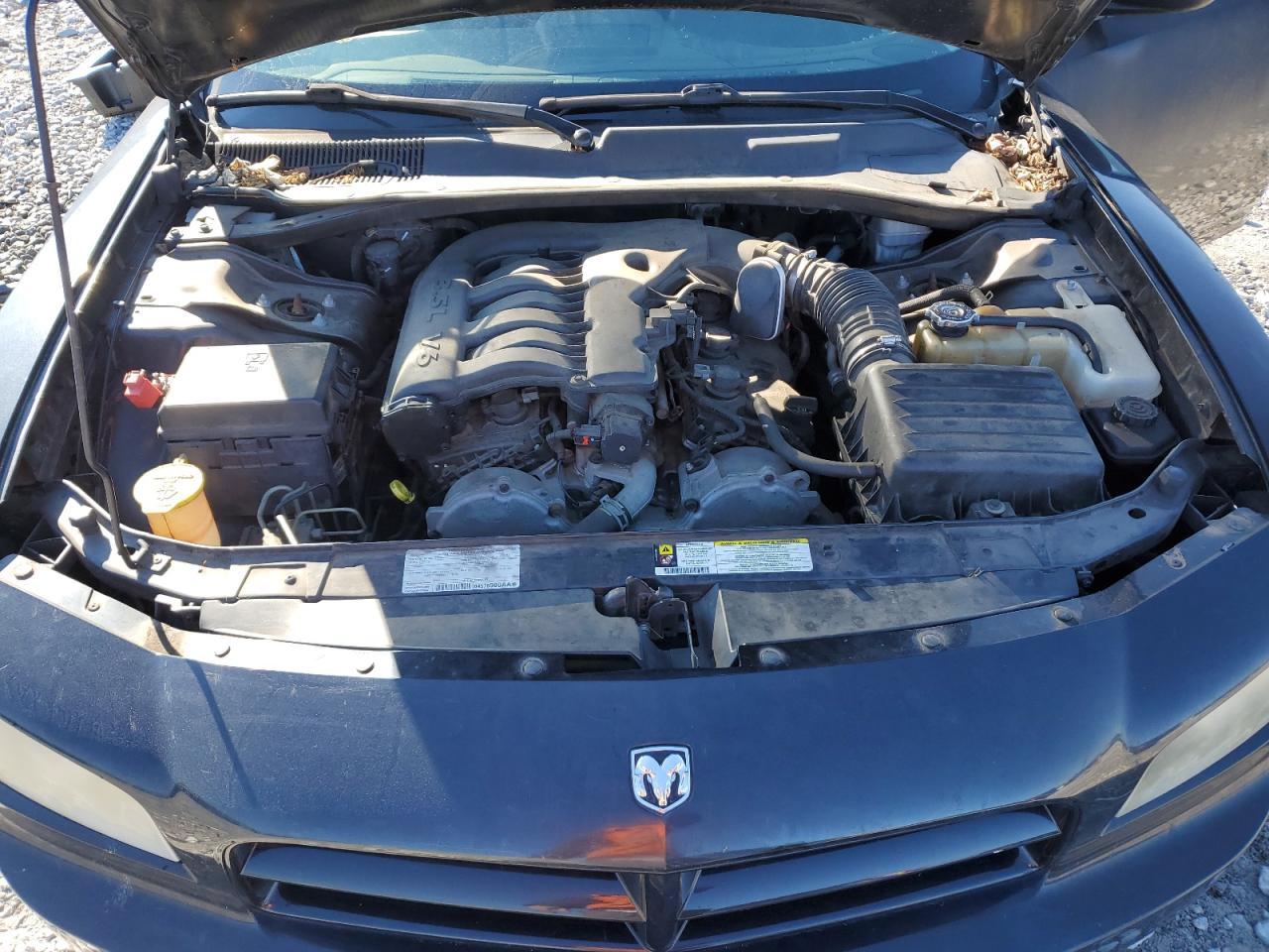2008 Dodge Charger VIN 2B3KA43G78H319376 Copart auction photo, side damage thumbnail 13