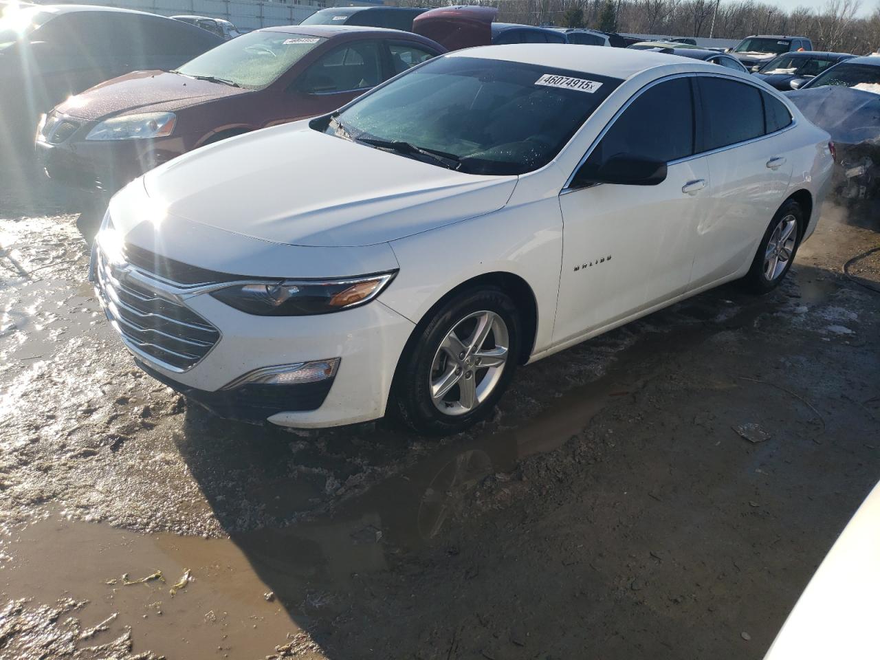 2019 Chevrolet Malibu VIN 1G1ZB5ST8KF186787