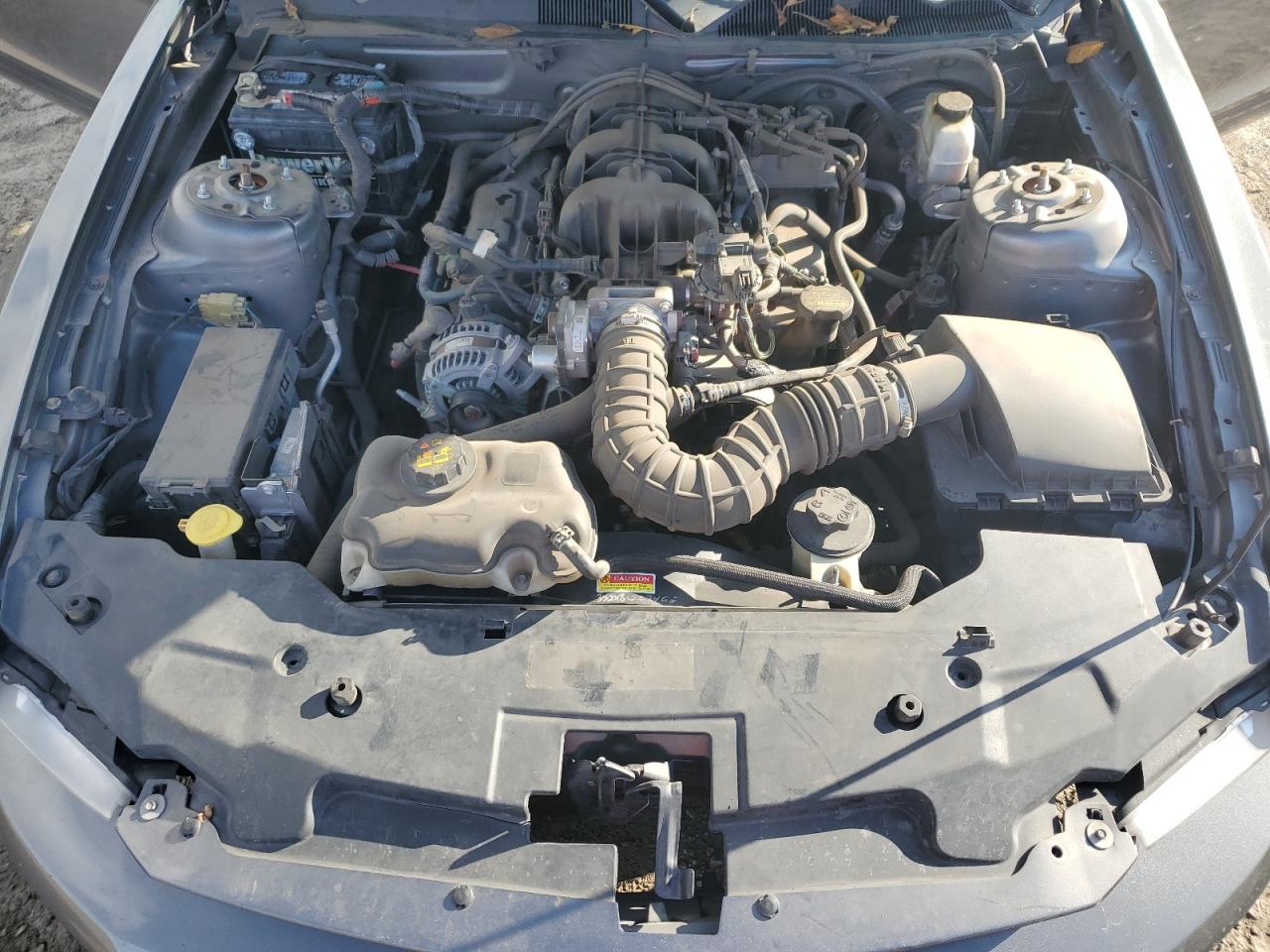 2010 Ford Mustang VIN 1ZVBP8AN0A5168624 Copart auction photo, side / rear end damage thumbnail 13