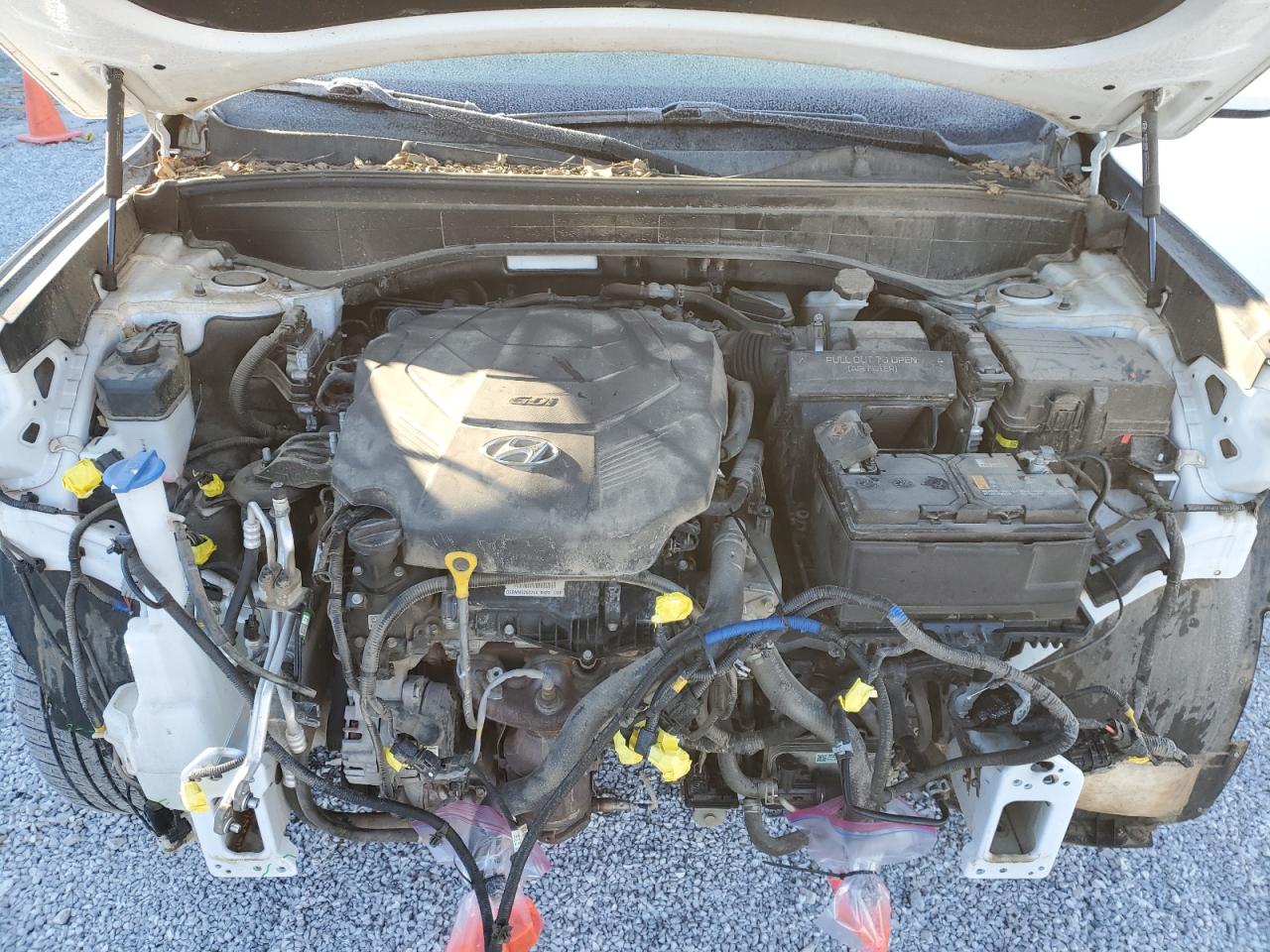 2021 Hyundai Palisade VIN KM8R14HE5MU291617 Copart auction photo, front end damage thumbnail 12