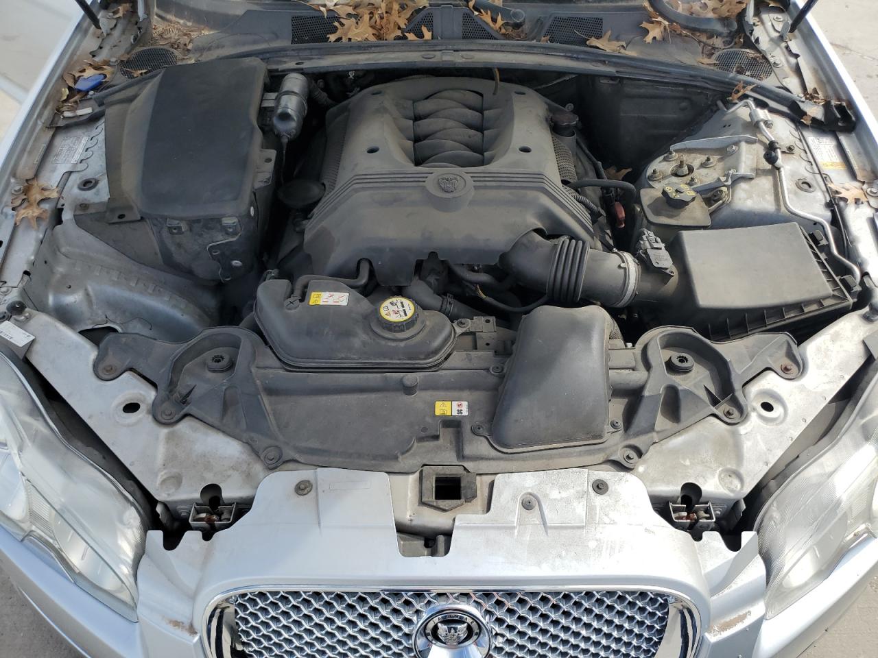 2009 Jaguar XF VIN SAJWA05B49HR09621 Copart auction photo, rear end / hail damage thumbnail 11