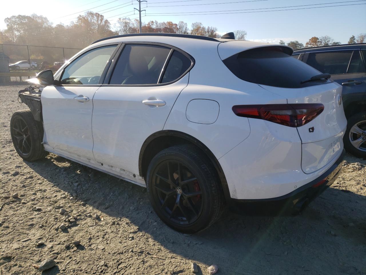 2020 Alfa Romeo Stelvio VIN ZASPAKAN5L7C85671 Copart auction photo, front end damage thumbnail 2