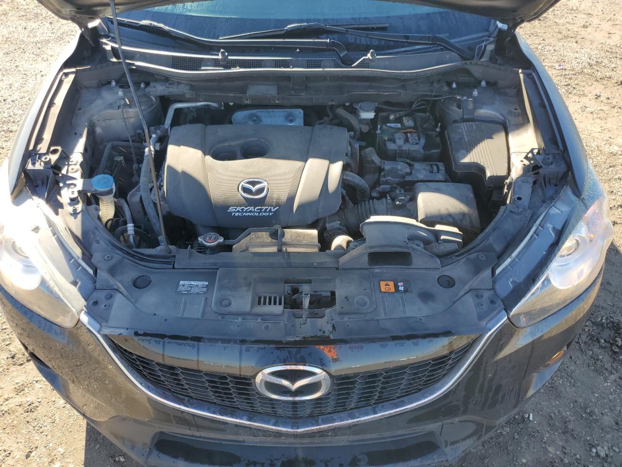 2014 Mazda CX-5 VIN JM3KE4CY7E0330249 Copart auction photo, side / minor dent/scratches damage thumbnail 11
