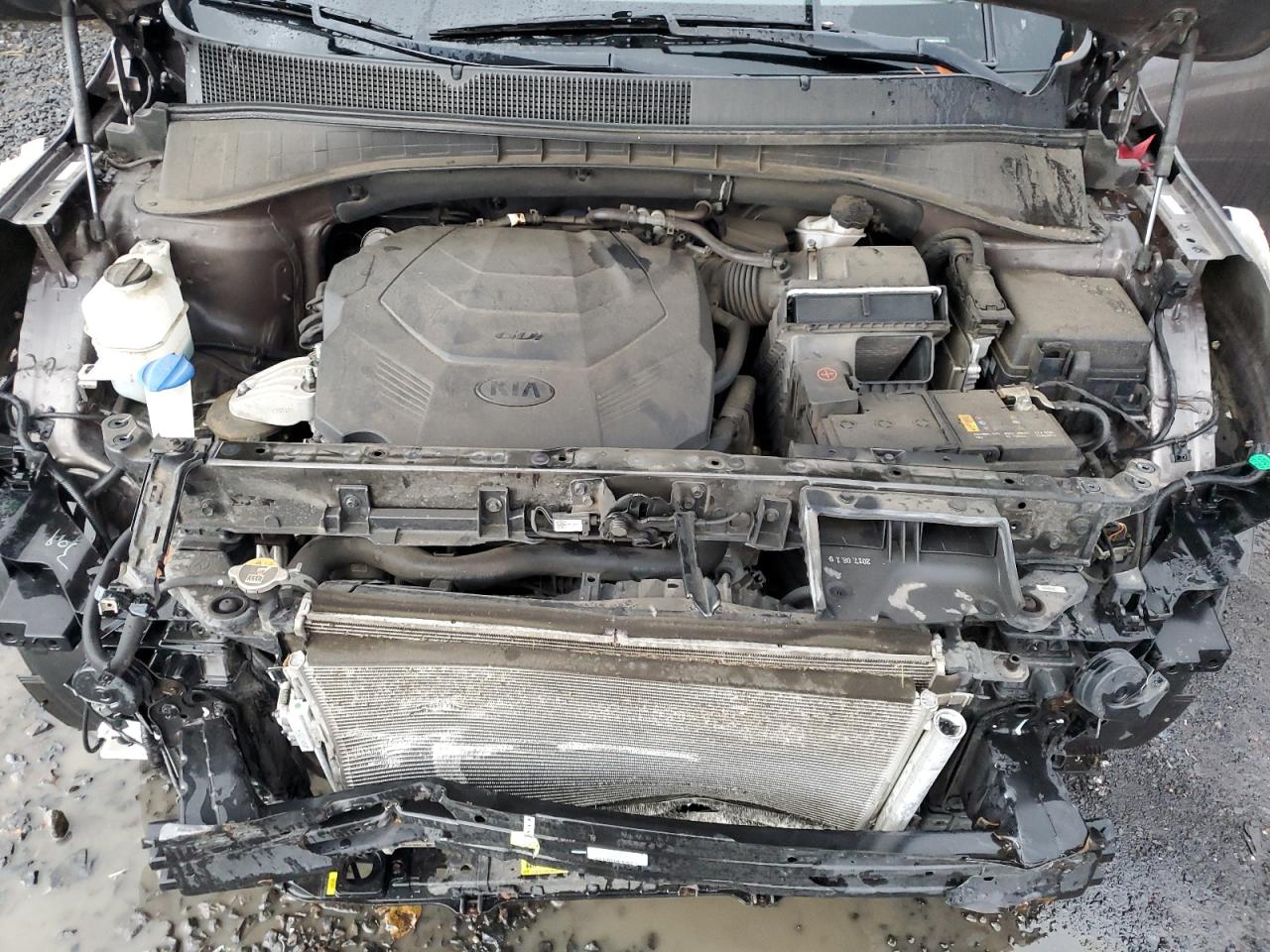 2019 KIA Sorento VIN 5XYPGDA59KG447192 Copart auction photo, front end damage thumbnail 11
