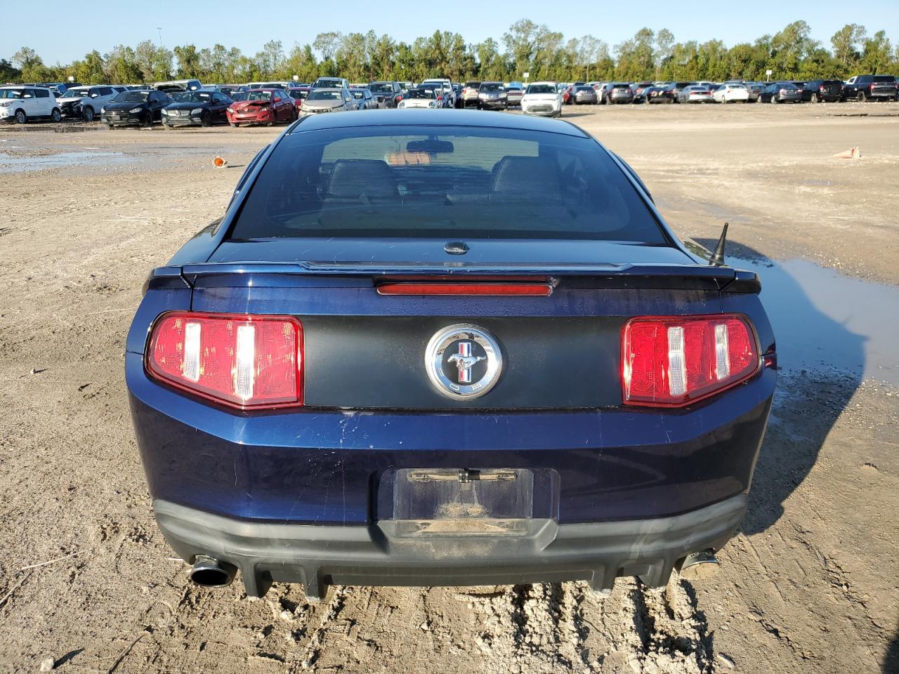 2011 Ford Mustang VIN 1ZVBP8AM1B5117139 Copart auction photo, all over / undercarriage damage thumbnail 6