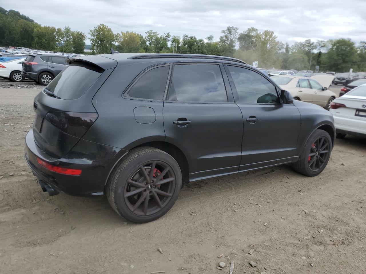 2016 Audi SQ5 VIN WA1CCAFP1GA051522 Copart auction photo, rear end / minor dent/scratches damage thumbnail 3