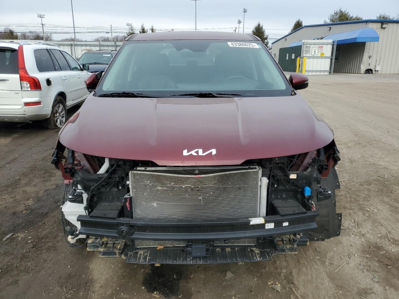 2023 KIA Carnival VIN KNDNC5H31P6251982 Copart auction photo, front end / rear end damage thumbnail 5