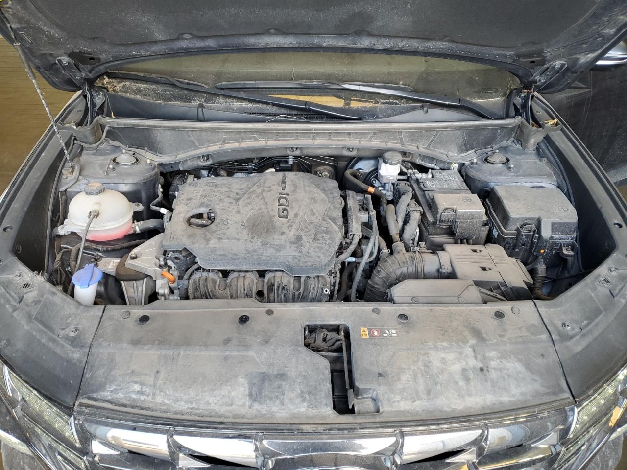2023 Hyundai Tucson VIN 5NMJECAE1PH202406 Copart auction photo, rear end / minor dent/scratches damage thumbnail 12