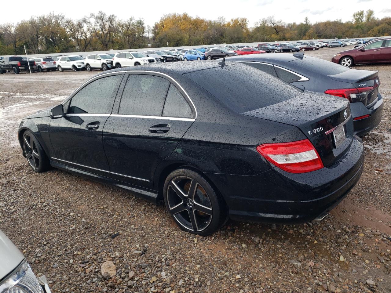 2010 Mercedes-Benz C-klasse VIN WDDGF5EB7AR108526 Copart auction photo, hail damage thumbnail 2