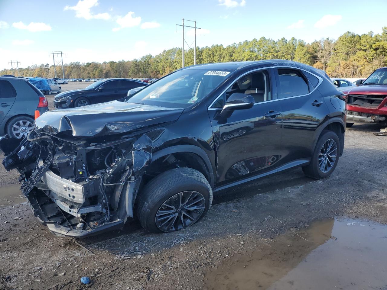2024 Lexus NX VIN 2T2GDCAZ8RC014499