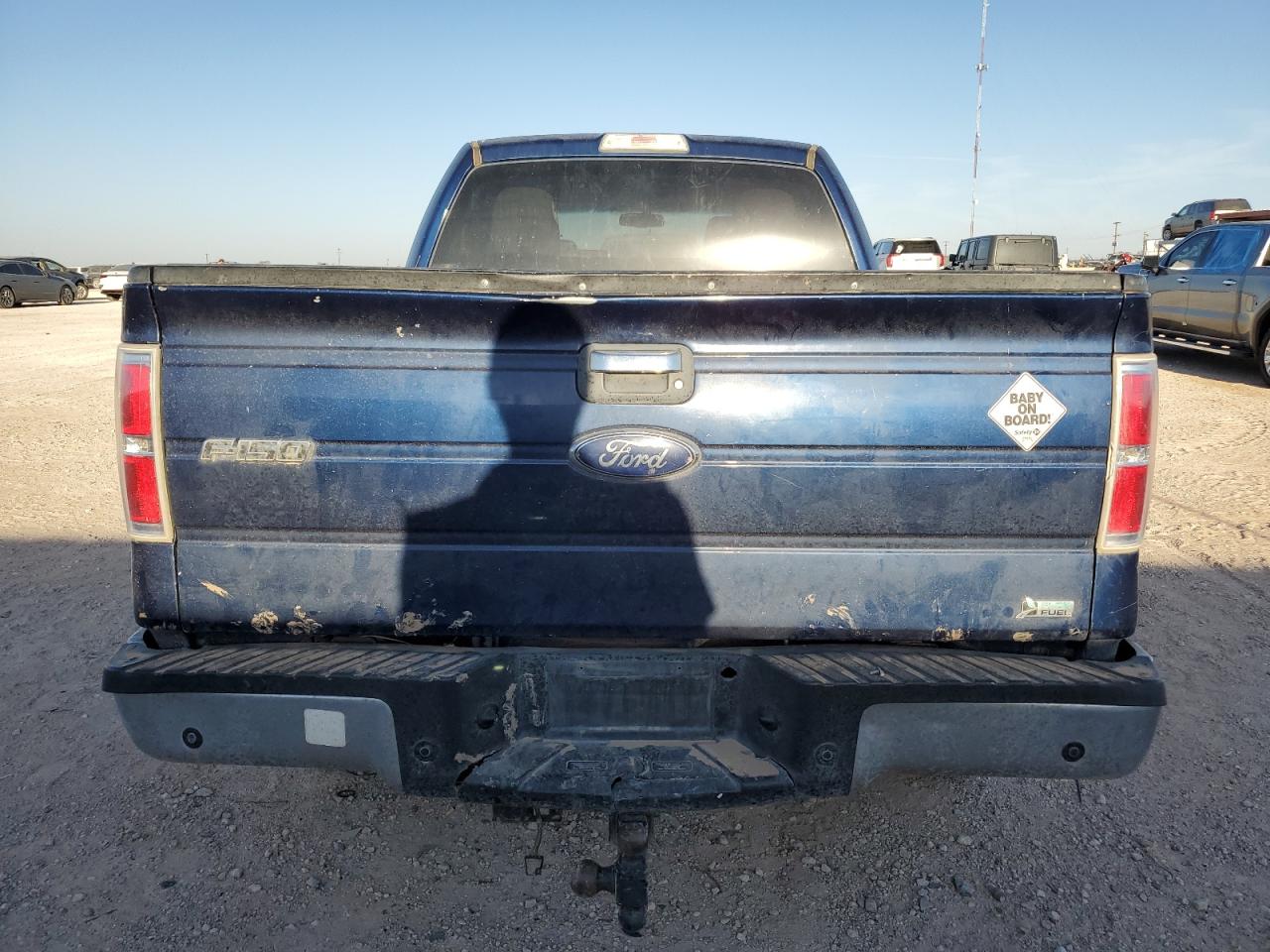 2010 Ford F-150 VIN 1FTFW1EVXAFD79624 Copart auction photo, water/flood damage thumbnail 6