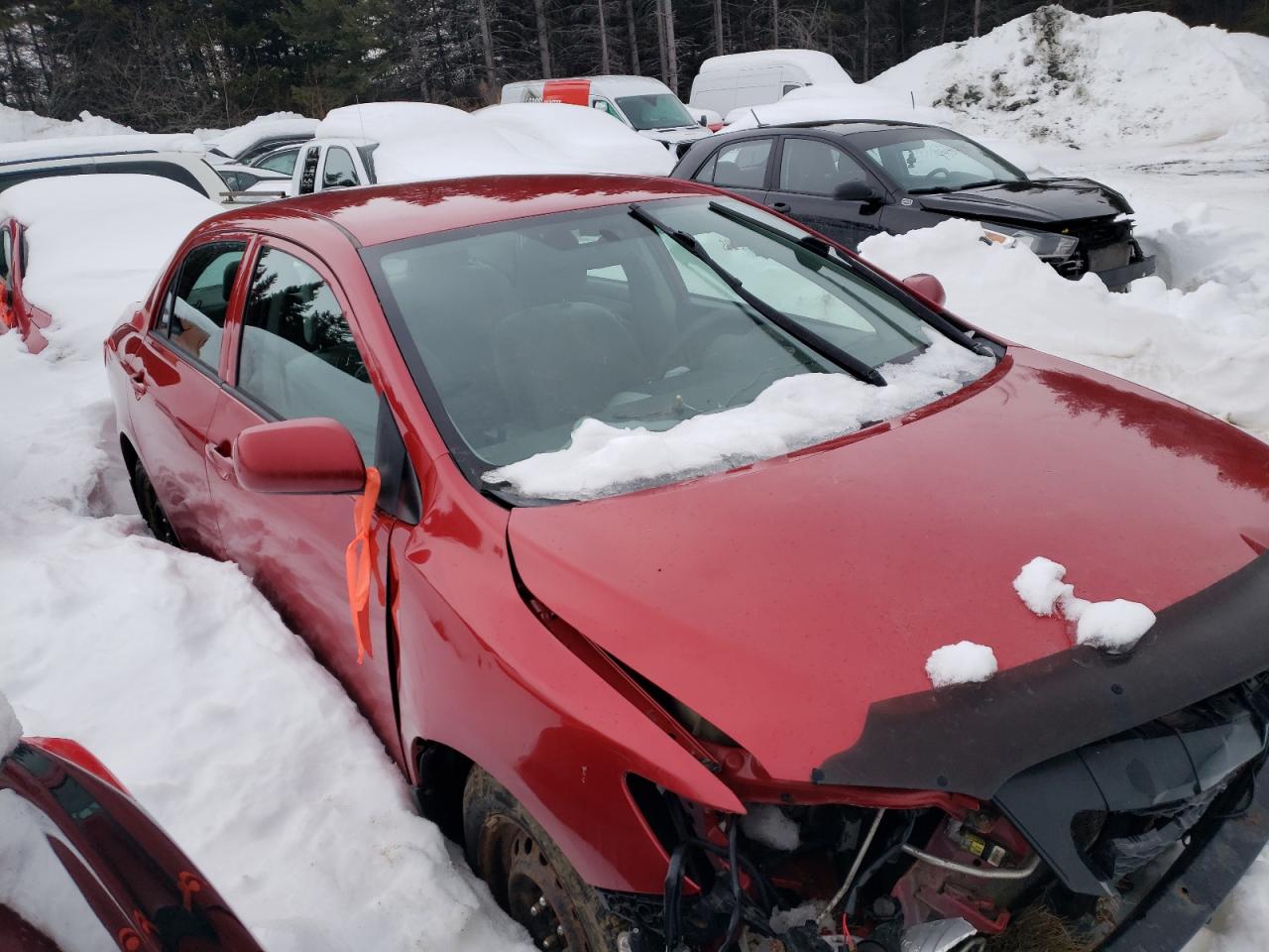 2010 Toyota Corolla VIN 2T1BU4EE4AC479801 Copart auction photo, front end damage thumbnail 4