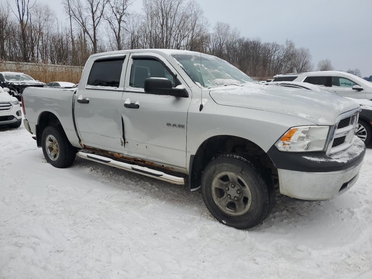2009 Dodge RAM VIN 1D3HV13P99S799448 Copart auction photo, side / minor dent/scratches damage thumbnail 4